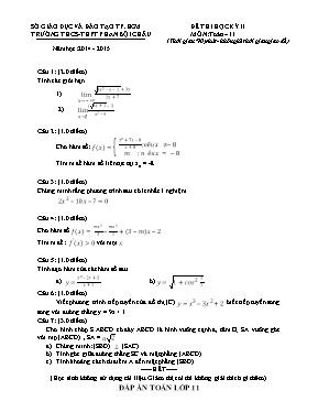 Đề thi học kỳ II môn Toán học 11
